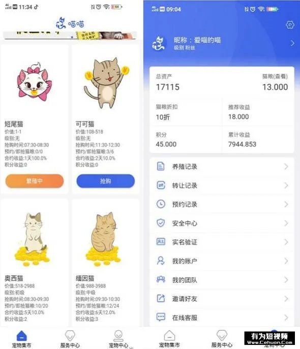 揭秘：號(hào)稱零擼的“養(yǎng)貓賺錢”騙局套路！