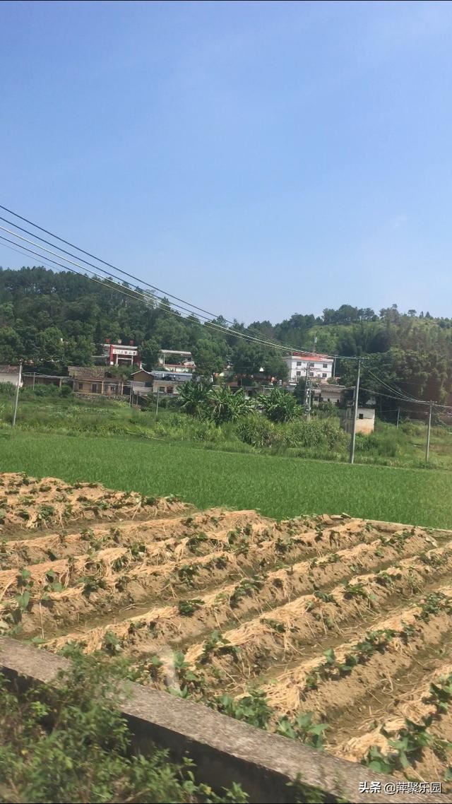 抖音多少播放量有收益圖？