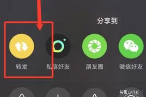 抖音里轉(zhuǎn)發(fā)的視頻怎么自己看不到？