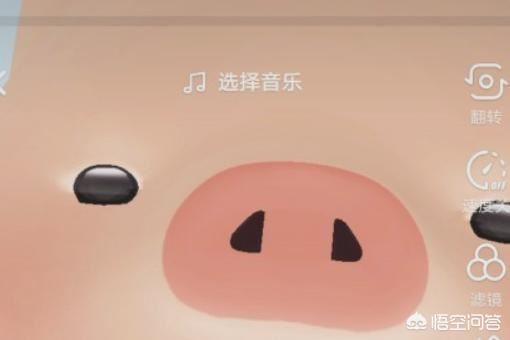 抖音上的豬頭特效怎么弄？