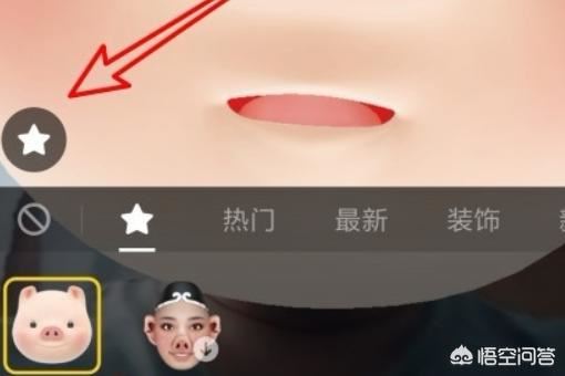 抖音上的豬頭特效怎么弄？