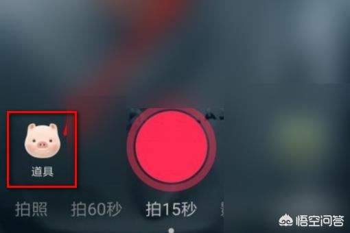 抖音上的豬頭特效怎么弄？