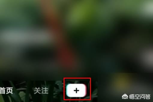 抖音上的豬頭特效怎么弄？