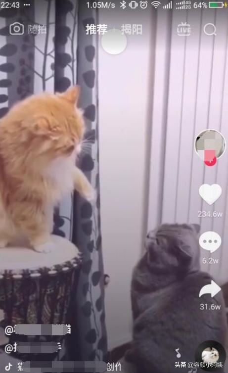 抖音如何拍攝四個界面的不同的表情視頻？