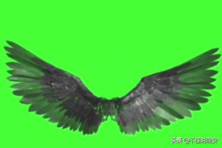 抖音翅膀特效怎么拍？
