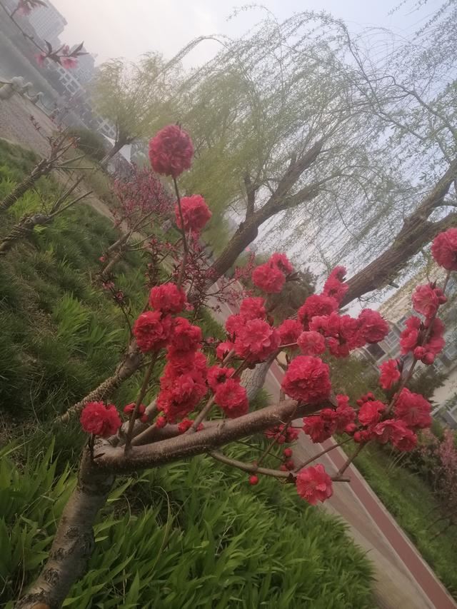 抖音8000粉絲有前途嗎?