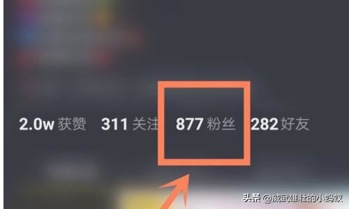 抖音如何辨別僵尸粉？