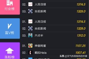 飛瓜數(shù)據(jù)怎么在手機上查看抖音漲粉榜單？