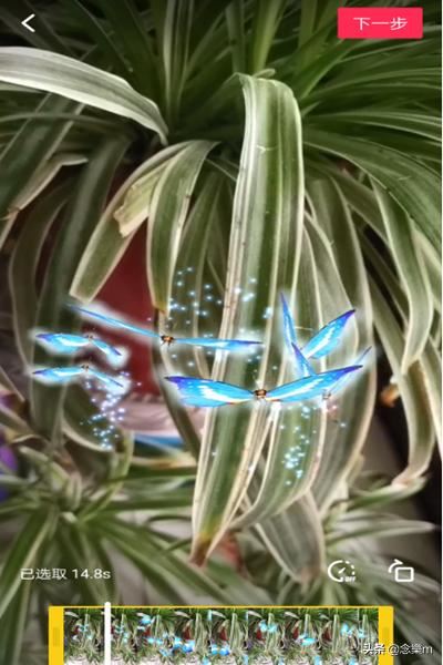 抖音靈性蝴蝶特效怎么弄，好多飛舞蝴蝶特效在哪？