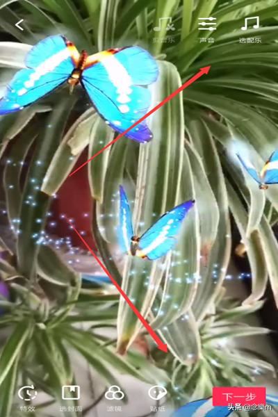 抖音靈性蝴蝶特效怎么弄，好多飛舞蝴蝶特效在哪？