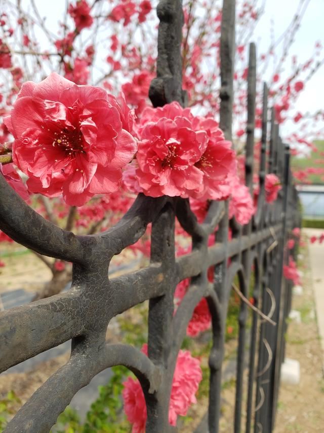 如何通過通訊錄找到朋友的抖音號(hào)？