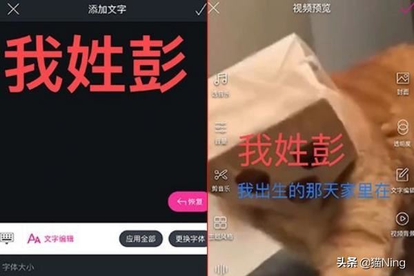 有什么軟件和趣推一樣可以幫你上抖音熱門？