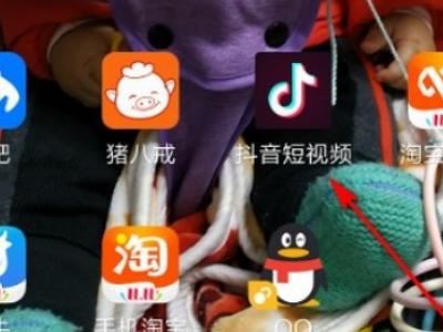 抖音發(fā)布者能看見訪客嗎？