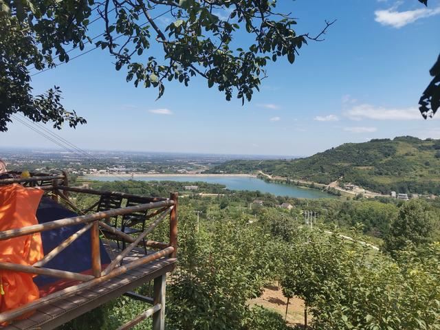 抖音怎么查找作者的作品？