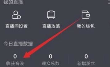 抖音怎么看粉絲送的音浪記錄？