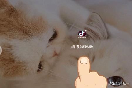 抖音里怎么看已結(jié)束的直播？