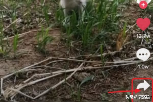 抖音視頻分享限制了怎么辦？