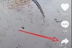 抖音怎么樣取消收藏的視頻，如何刪除收藏的視頻？