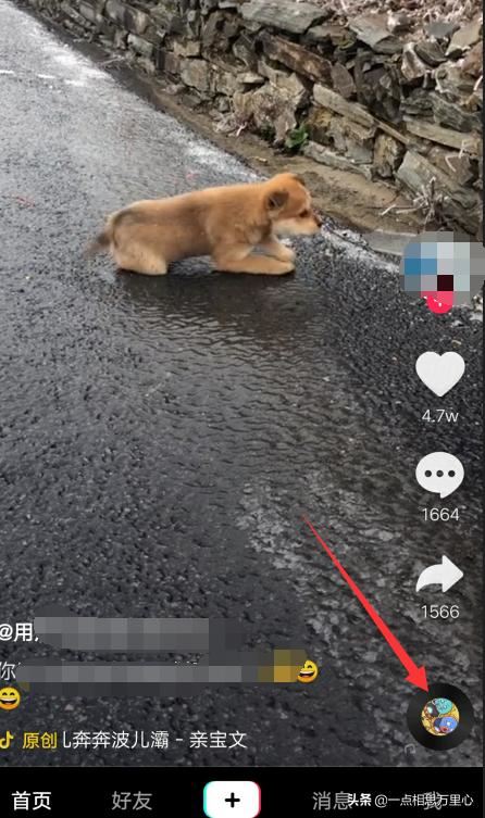 抖音怎樣找同款，怎樣拍同款？