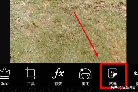 抖音白色天使翅膀特效在哪？視頻怎么拍？