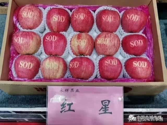 我拍的視頻太模糊，怎么處理清晰？