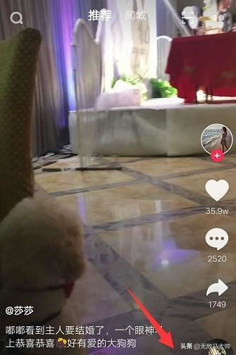 抖音怎么設(shè)置發(fā)布視頻不讓別人看到？