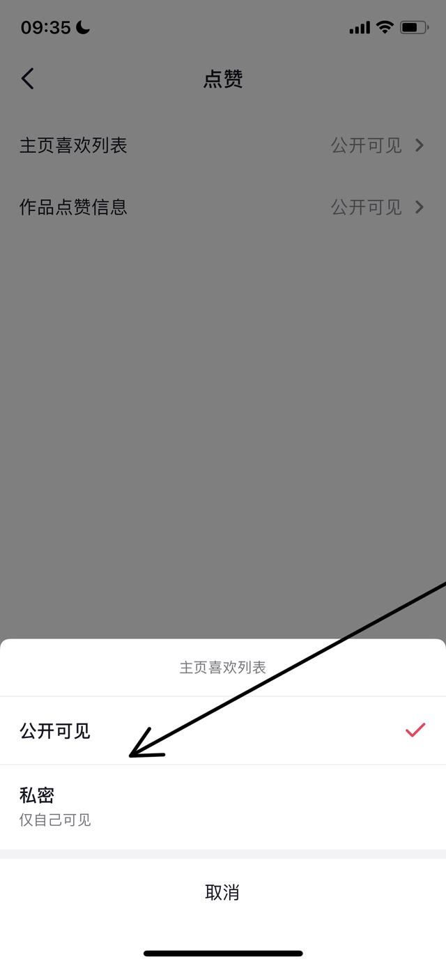 怎樣把抖音里喜歡的作品公開？