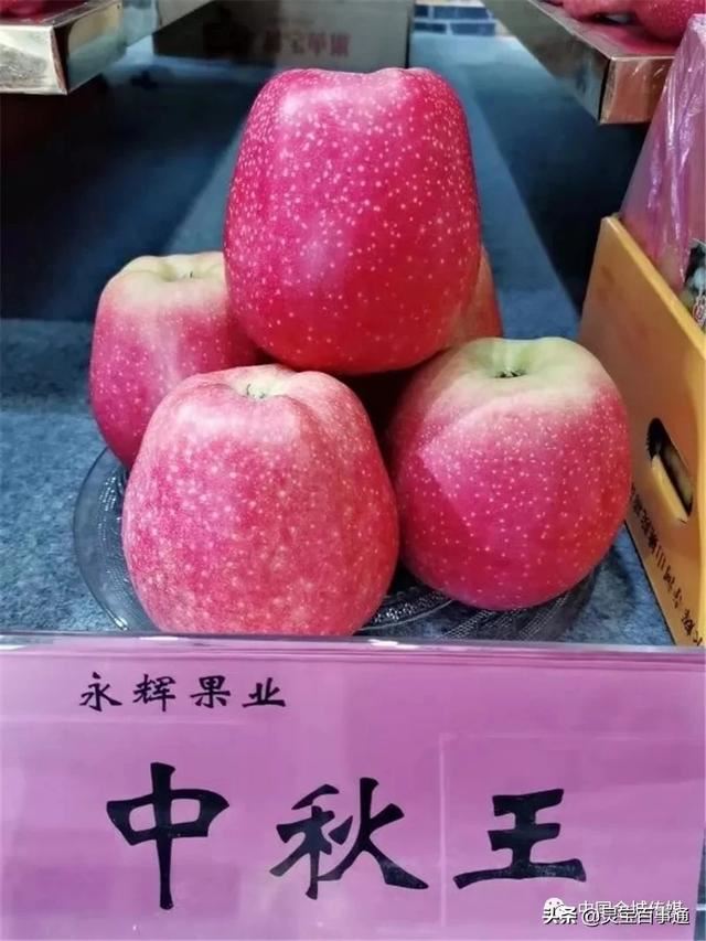 我拍的視頻太模糊，怎么處理清晰？