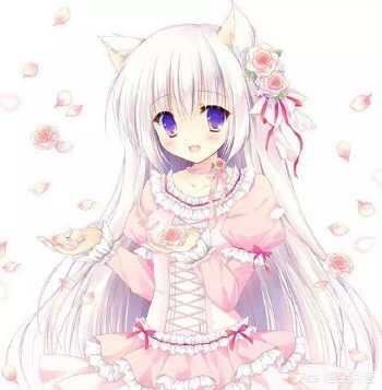 為什么一些玩b站的好像看不起玩抖音快手的？