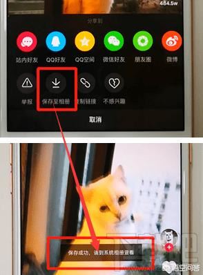為什么抖音發(fā)布的視頻刪了，沒有保存到相冊？