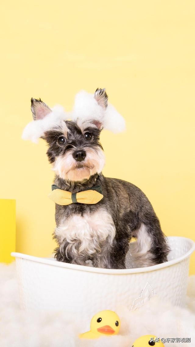 最火的短視頻APP有哪些？