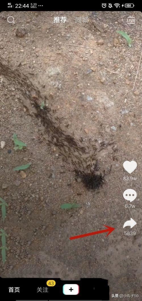 抖音短視頻如何設(shè)置成手機(jī)屏保？