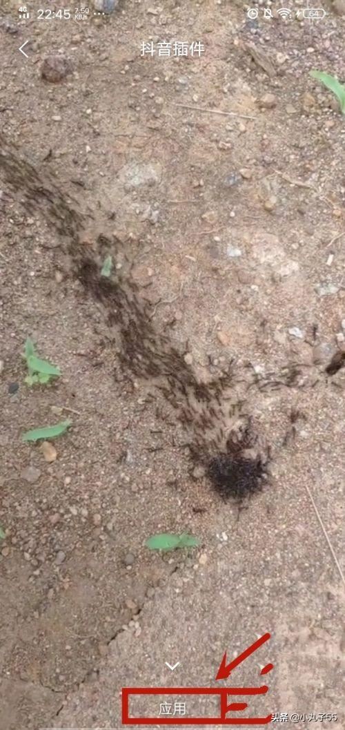 抖音短視頻如何設(shè)置成手機(jī)屏保？