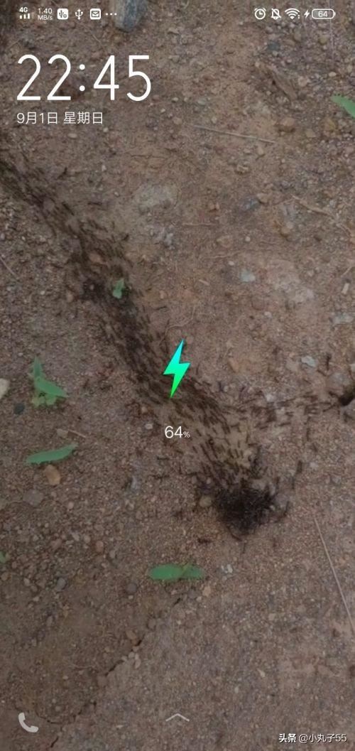 抖音短視頻如何設(shè)置成手機(jī)屏保？