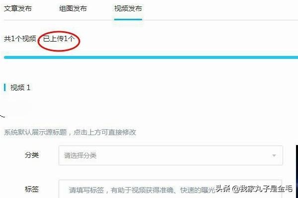 大魚號怎么上傳視頻，怎么發(fā)視頻？
