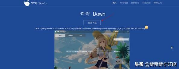 如何在電腦上下載嗶哩嗶哩(B站)的視頻？