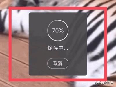 如何下載新浪微博里的視頻？