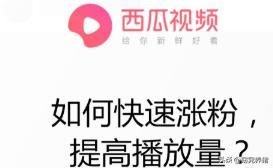 西瓜視頻如何快速漲粉，提高播放量？