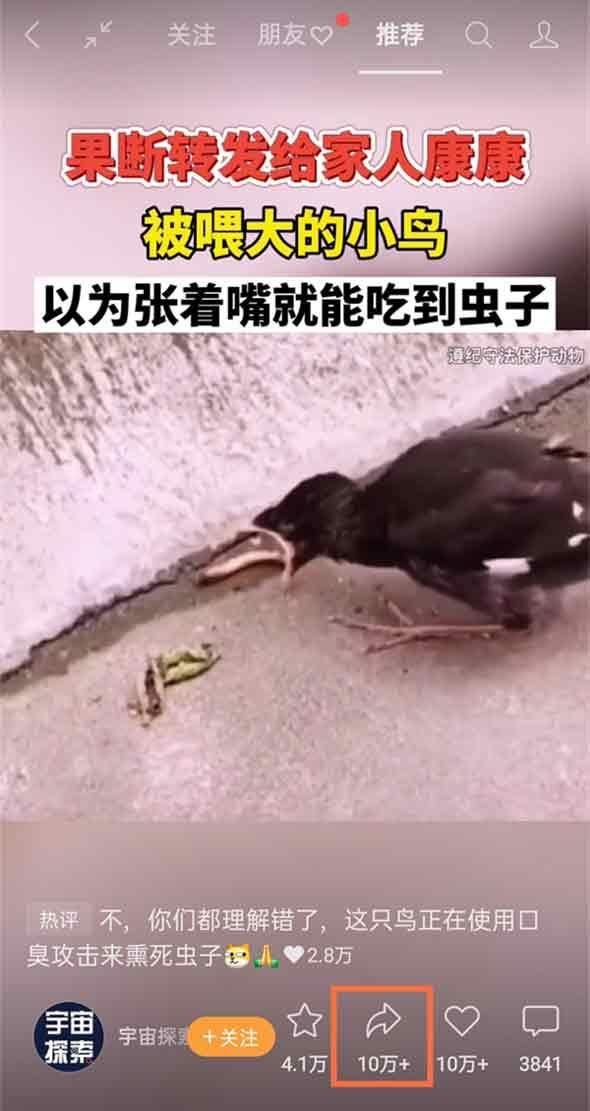 怎樣把視頻轉(zhuǎn)發(fā)給朋友？