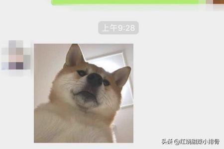 如何在微信對話中找到以前發(fā)過的照片、視頻？