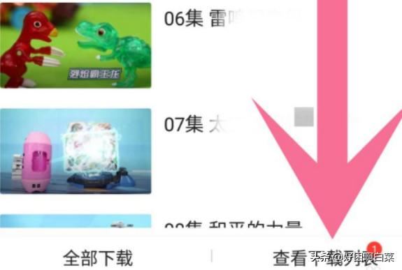 如何把愛奇藝的視頻下載到本地？