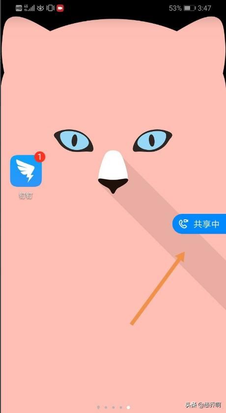 手機(jī)釘釘視頻會(huì)議怎么放PPT？