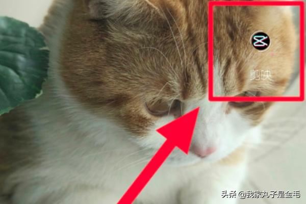 剪映怎么搜索視頻？