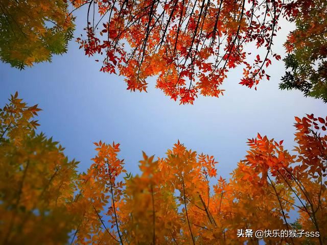 誰(shuí)推薦幾首適合做旅游視頻背景音樂(lè)的歌曲最好？