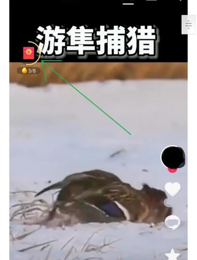 抖音如何看免費小說？