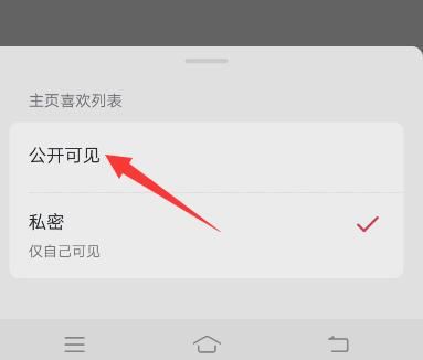 抖音的喜歡怎么公開？