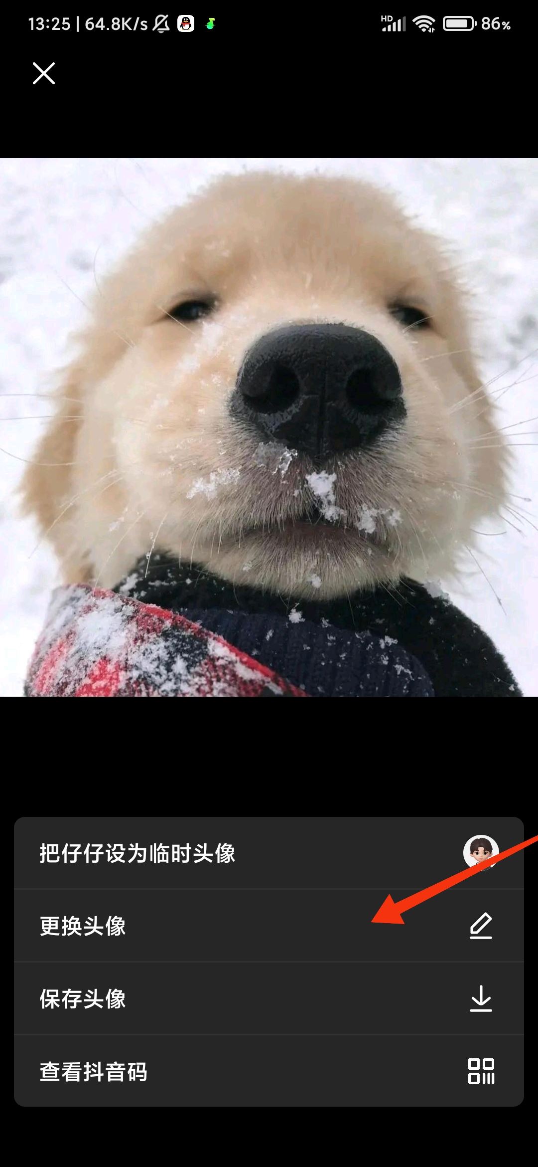 抖音頭像發(fā)布到日常怎么關？