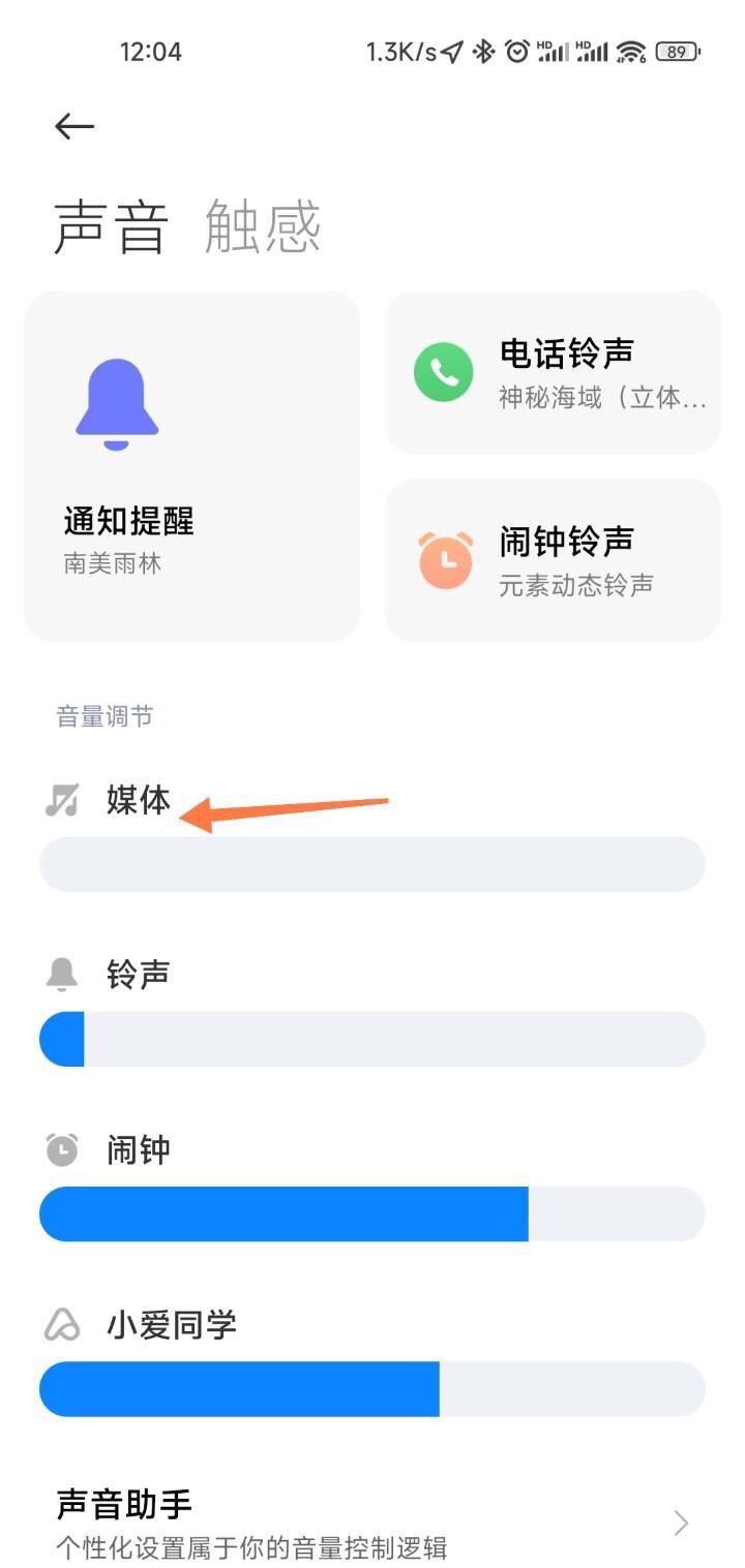 抖音沒有聲音了怎么設(shè)置？