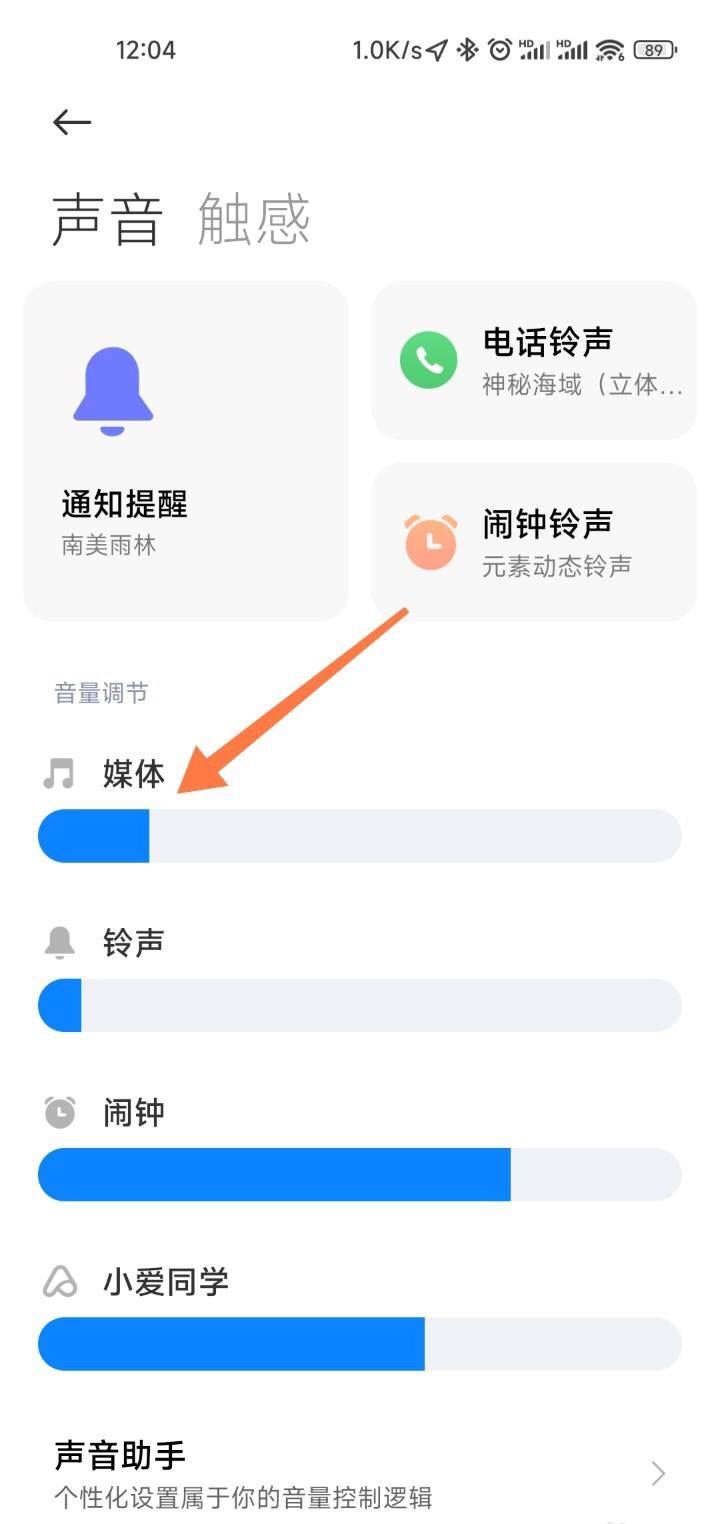抖音沒有聲音了怎么設(shè)置？