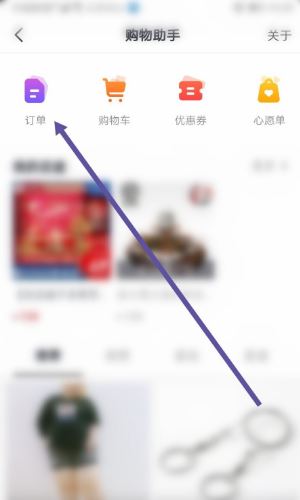 在抖音用支付寶買了東西怎么看？